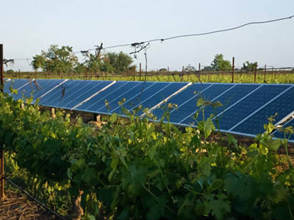Солнечная энергия для виноделен и виноградников