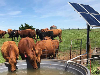 Солнечная энергия для молочных ферм